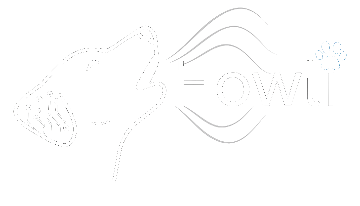 Howli Logo